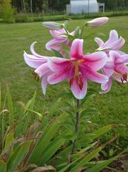 IMG_20260805_190215.jpg