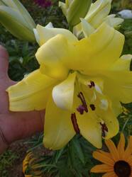 IMG_20260805_190231_1.jpg