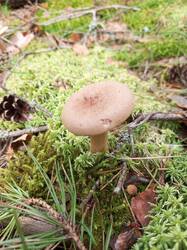 IMG_20260807_132227_192.thumb.jpg.7996a15ed47a539ddfc3cbaa43d82f9b.jpg
