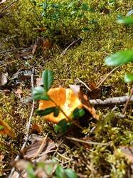 IMG_20260810_124601.jpg