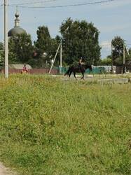 IMG_20260811_112635_348.jpg