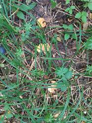 IMG_20260814_140020.jpg