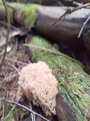 IMG_20260814_152540.jpg