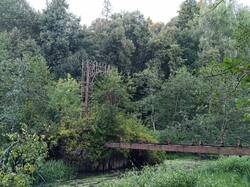 IMG_20260815_053617.jpg