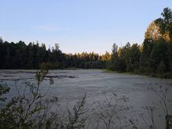 IMG_20260815_055456.jpg