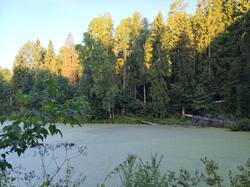 IMG_20260815_055555.jpg