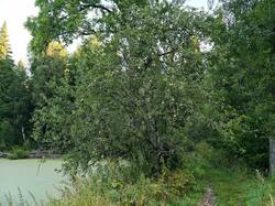 IMG_20260815_055759.jpg