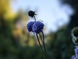 IMG_20260815_071140.jpg