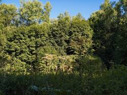 IMG_20260815_075105.jpg