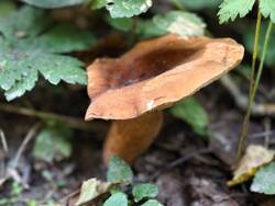 IMG_20260815_081205.jpg