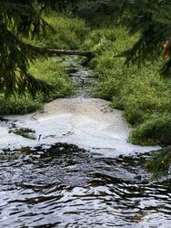 IMG_20260815_085453.jpg