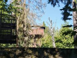 IMG_20260815_092620.jpg