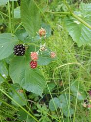 IMG_20260815_093534_086.jpg