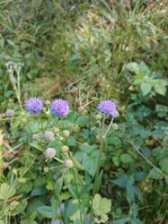 IMG_20260815_094307_445.jpg