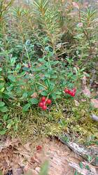 IMG_20260815_094329.jpg