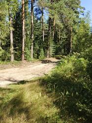 IMG_20260815_095531_587.jpg