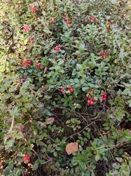 IMG_20260815_101424_078.jpg
