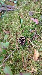IMG_20260815_104125.jpg