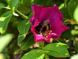 IMG_20260815_112543.jpg