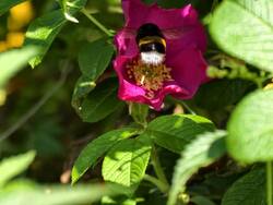 IMG_20260815_112559.jpg