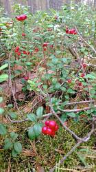 IMG_20260815_121331.jpg