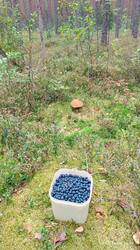 IMG_20260815_132423.jpg