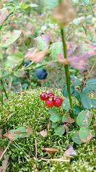 IMG_20260815_132724.jpg