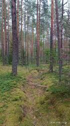 IMG_20260815_133441.jpg