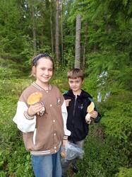 IMG_20260815_180508_494.jpg