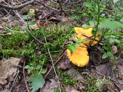 IMG_20260815_183402_670.jpg