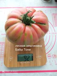 IMG_20260815_194302.jpg