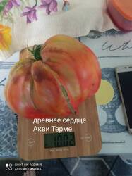 IMG_20260815_194738.jpg