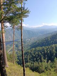 IMG_20260816_164407.jpg