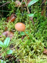 IMG_20260817_104131_247.thumb.jpg.0066b0def6ea3e1dfe639178e68fe742.jpg