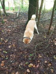 IMG_20260817_115131_541.thumb.jpg.9f09931430658045623722cf0b9b5966.jpg