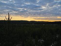 IMG_20260820_053832.jpg