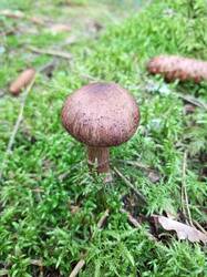 IMG_20260820_062512_064.thumb.jpg.d515e9e1a026d15d75e1669547fceb22.jpg