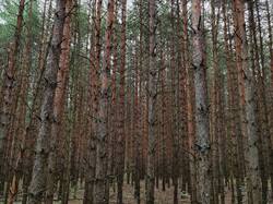 IMG_20260820_063312.jpg