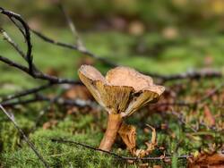 IMG_20260820_090017.jpg