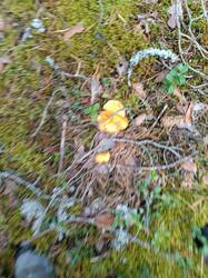 IMG_20260821_145306.jpg
