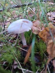 IMG_20260821_173246.jpg