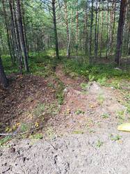 IMG_20260822_114804.jpg