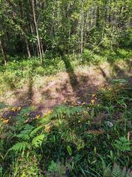 IMG_20260822_121230.jpg
