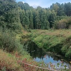 IMG_20260822_133418.jpg