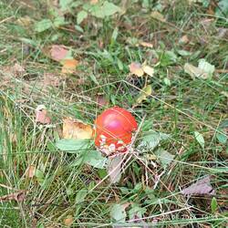 IMG_20260822_135305.jpg