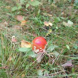 IMG_20260822_135305_1.jpg