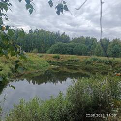IMG_20260822_140054.jpg