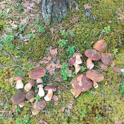 IMG_20260822_175353.jpg