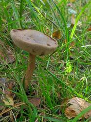 IMG_20260822_221419.thumb.jpg.029fd9b58b2e84d9a614a9f8f2ef2c2d.jpg