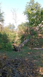 IMG_20260823_171526.jpg